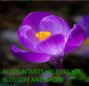 Accountants to help you grow